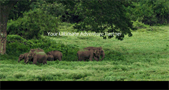 Desktop Screenshot of dolphintravels.org