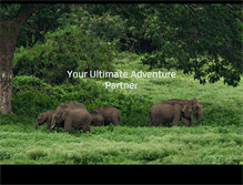 Tablet Screenshot of dolphintravels.org